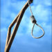 Hangedtodeath