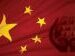 saarc china1